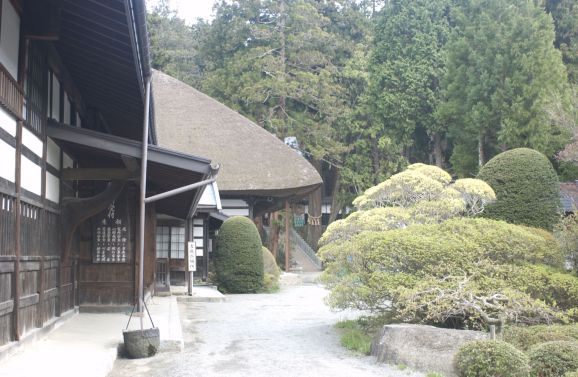 東京には樹木葬が可能な寺院もあり永代供養が可能